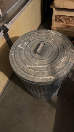 Galvanized Metal Trash Can with Lid