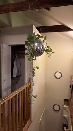 Pothos in disco ball planter