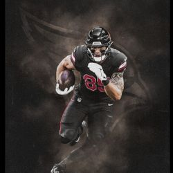 Cardinals Vs Jaguars 