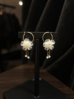 Fashion Earrings