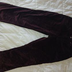 Ladies Pants