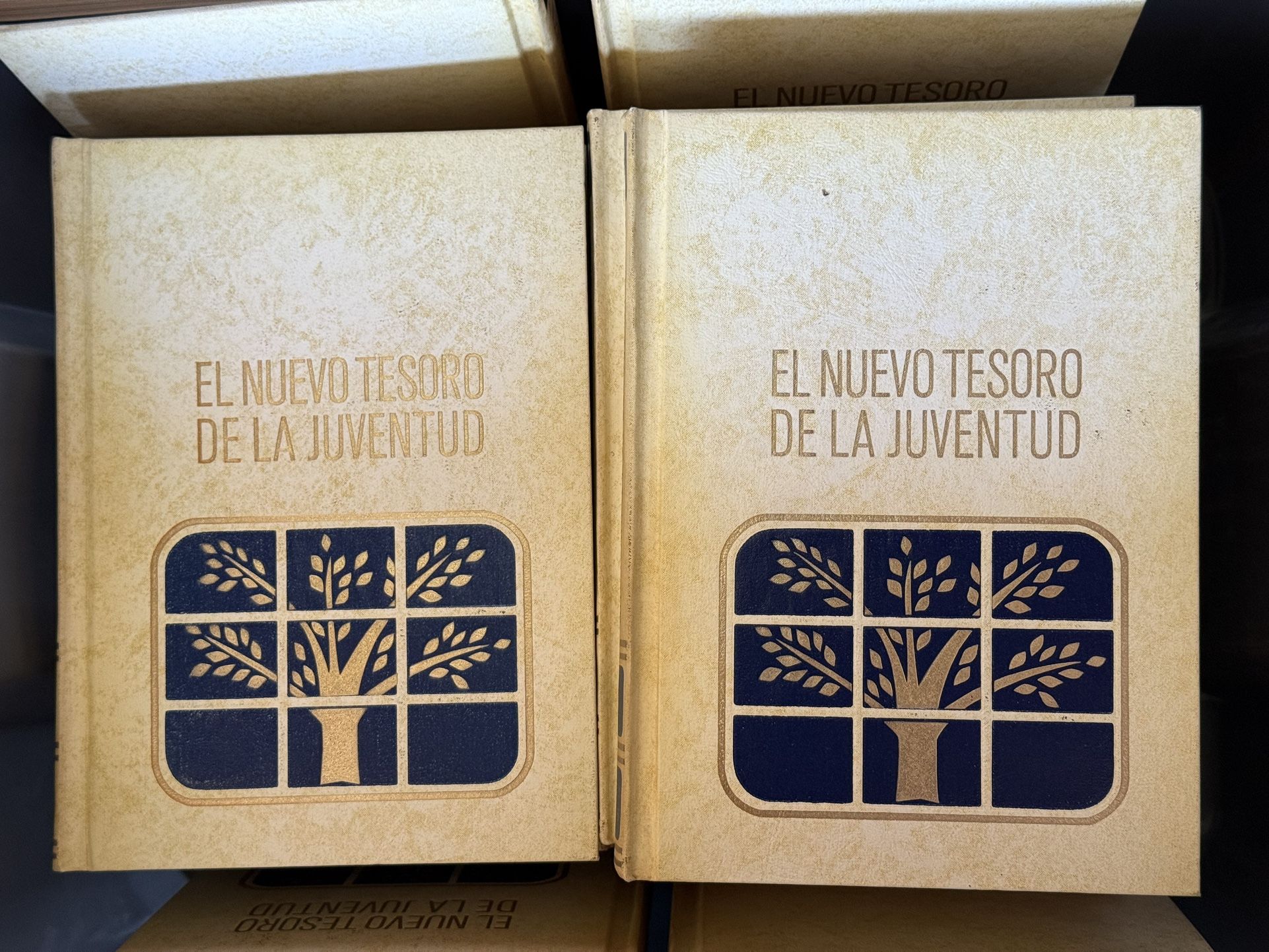 Nuevo Tesoro De La Juventud
