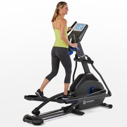 Horizon Elliptical Machine