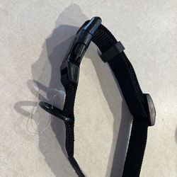 Small Dog Or Puppy Collar