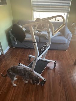Sit to Stand- Walking and lifting assistant