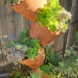 Tilted Pots
