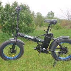 Ecotric Bike