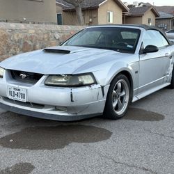 1999 Ford Mustang