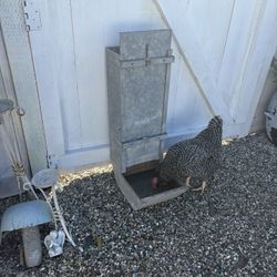 Large Vintage Metal Chicken Feeder