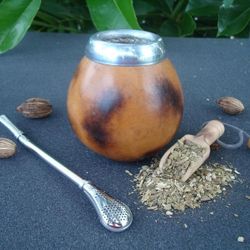 Herbal Mate Tea Plant In 3 Gal Plantas De Te Hierba Mate