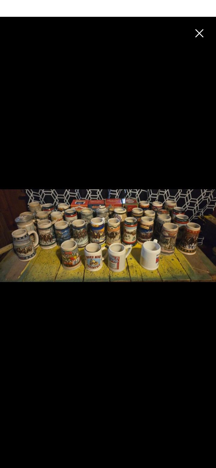 Assorted Beer Steins