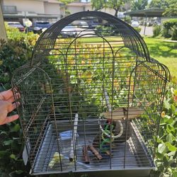 Bird Cage