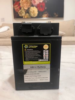 Lithium Tuttio Battery 48V 20.8AH