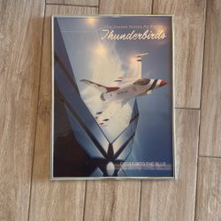 US Air Force Thunderbirds Framed Picture 