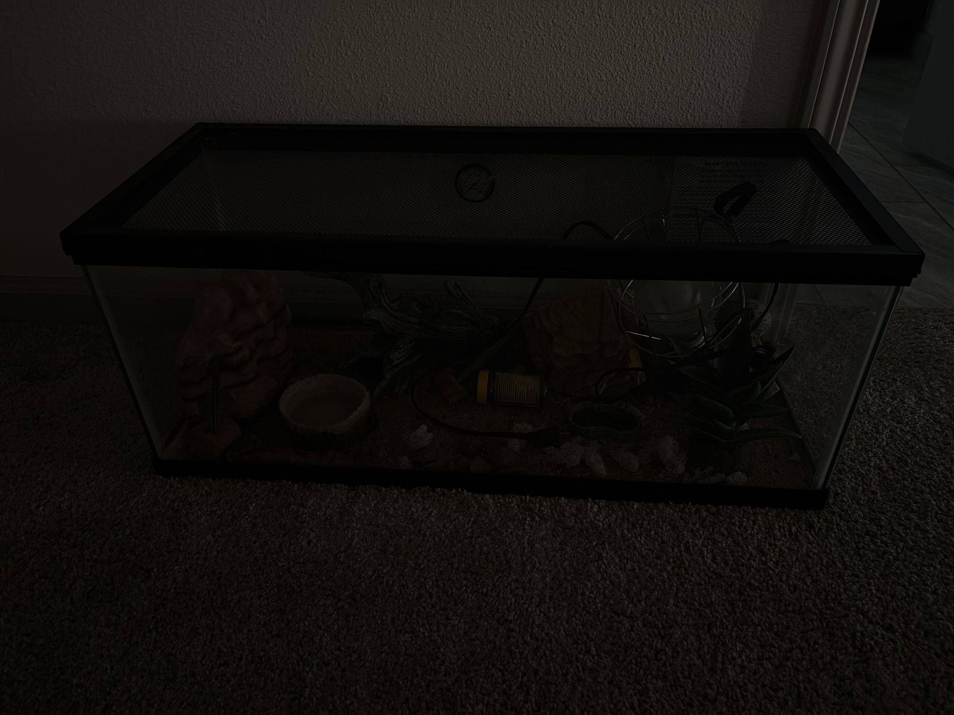 20 Gallon Reptile Tank