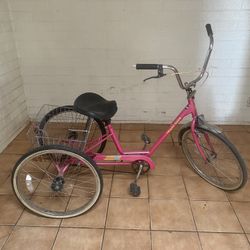 3 Wheel Bike 