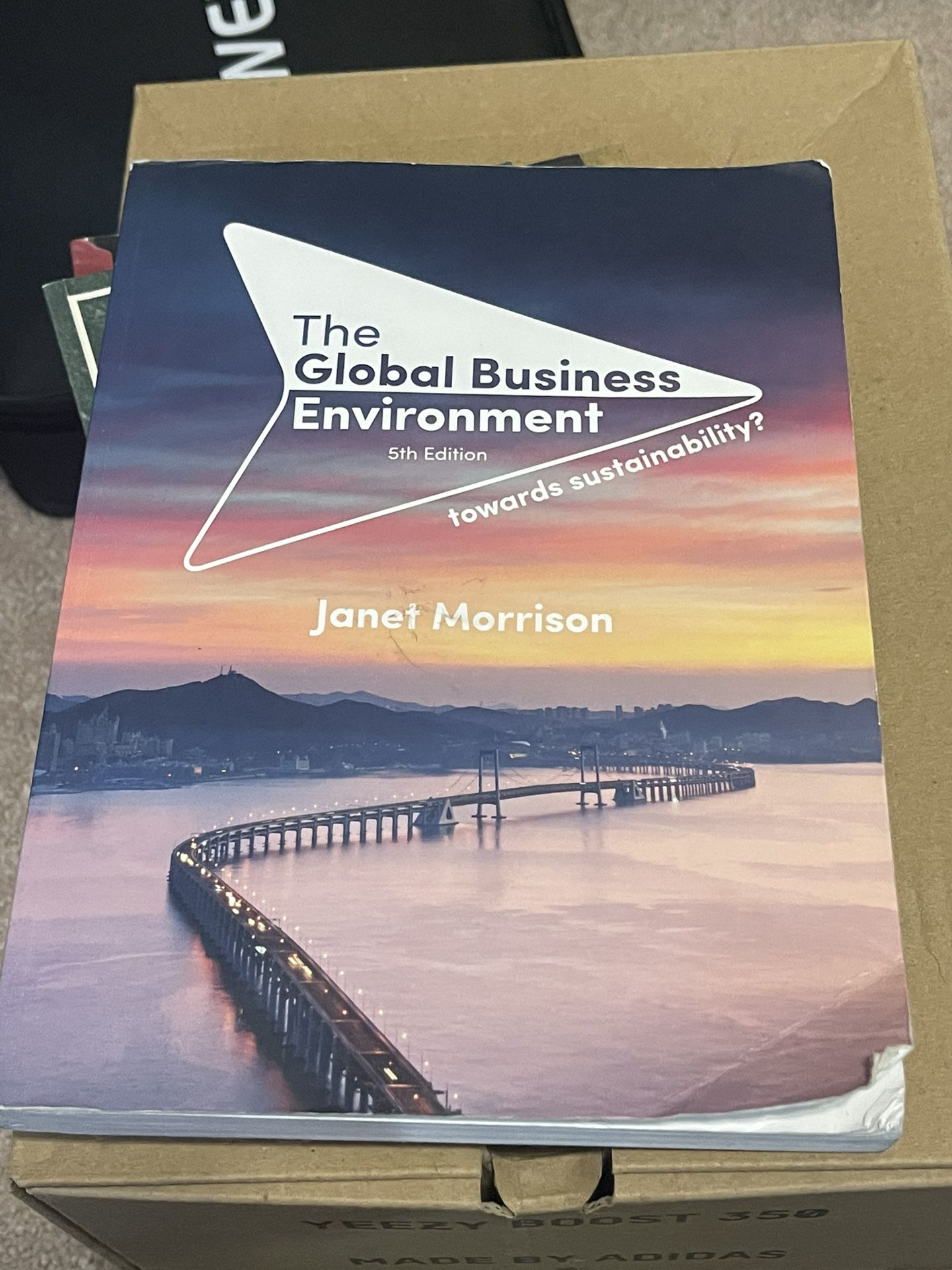 The Global Business Environment 5th Edition 