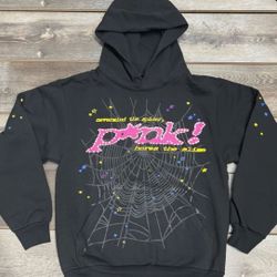 p!nk hoodie 