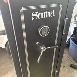 Sentinel Safe, BIG!