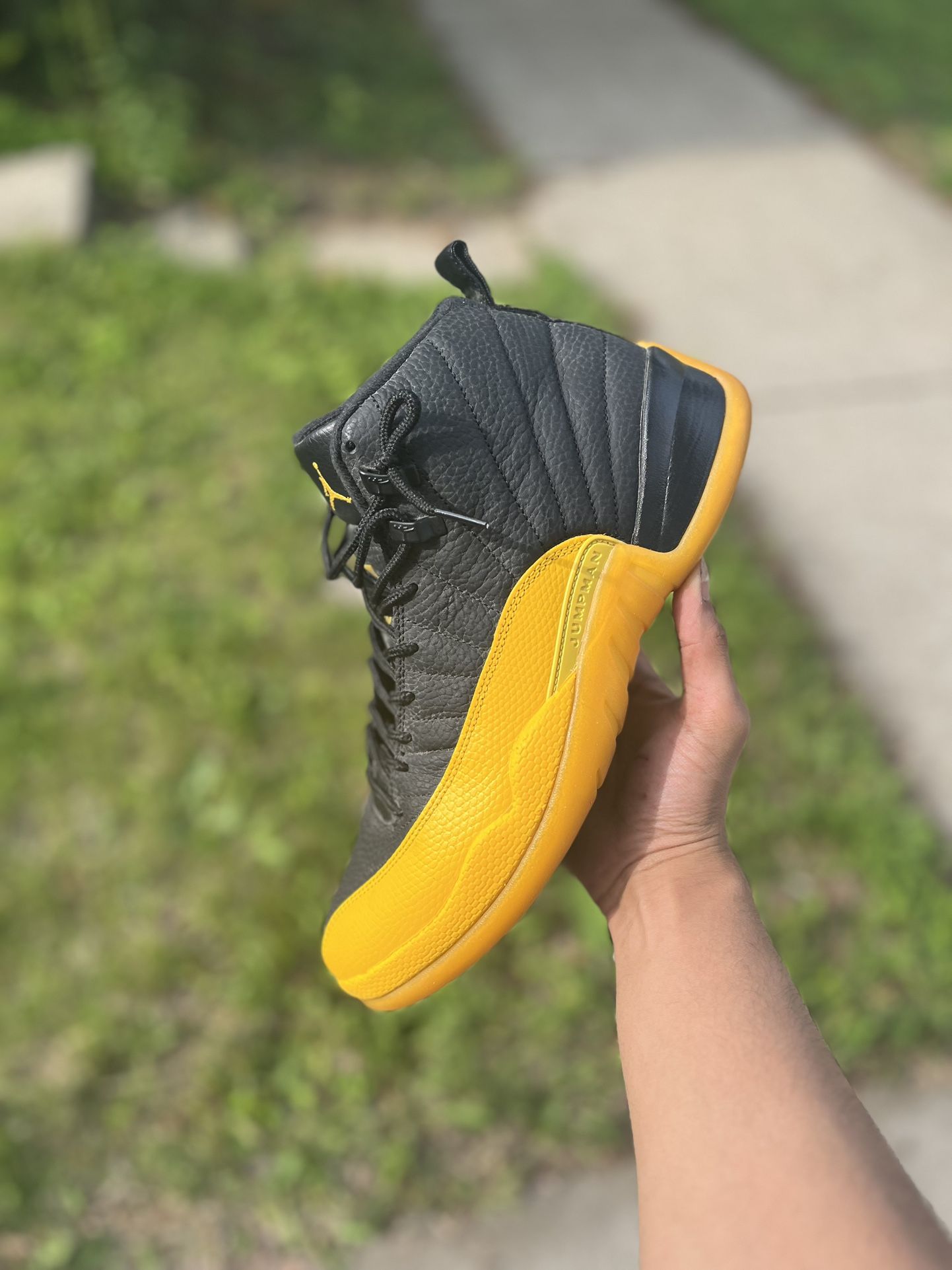 Jordan 12 