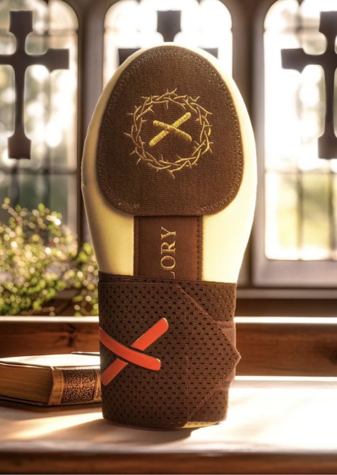 Absolutely Ridiculous Bible Standard Size sliding Mitt