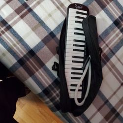 Melodica For Beginners