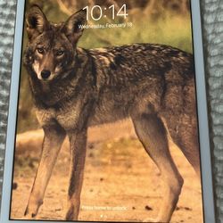 Like New Apple iPad 7th Generation • Rose Gold • WiFi + Cellular • Excellent Condition