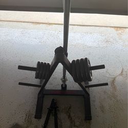 Weider Weight Rack + Cast Iron Plates + Dumbbell Handles - Complete Home Gym Set
