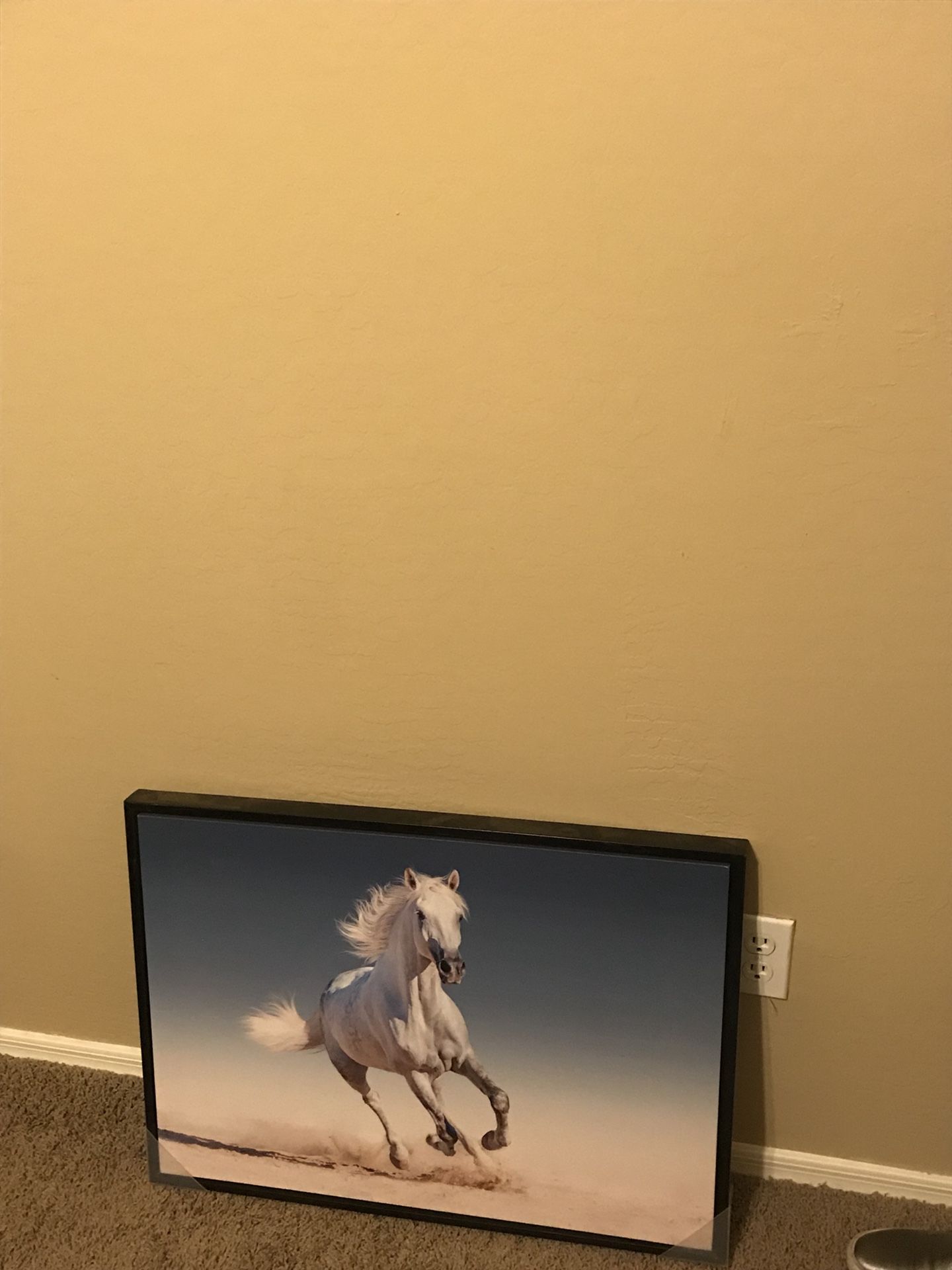 Horse decore