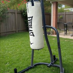 Punching Bag And Stand