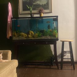 65 Gallon Tank 