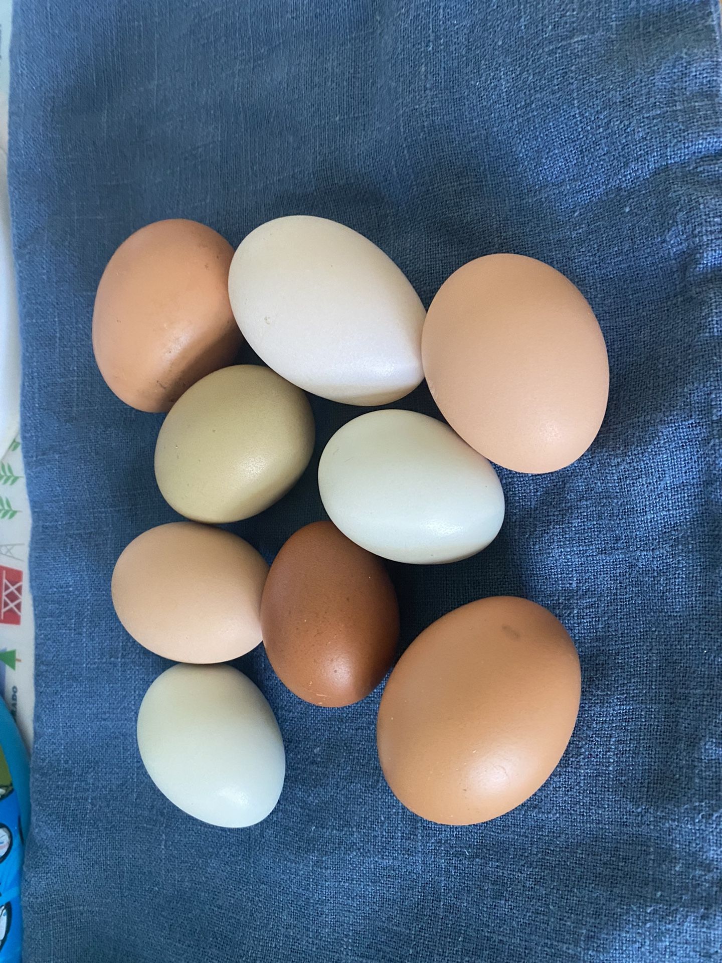 Farm Fresh Eggs