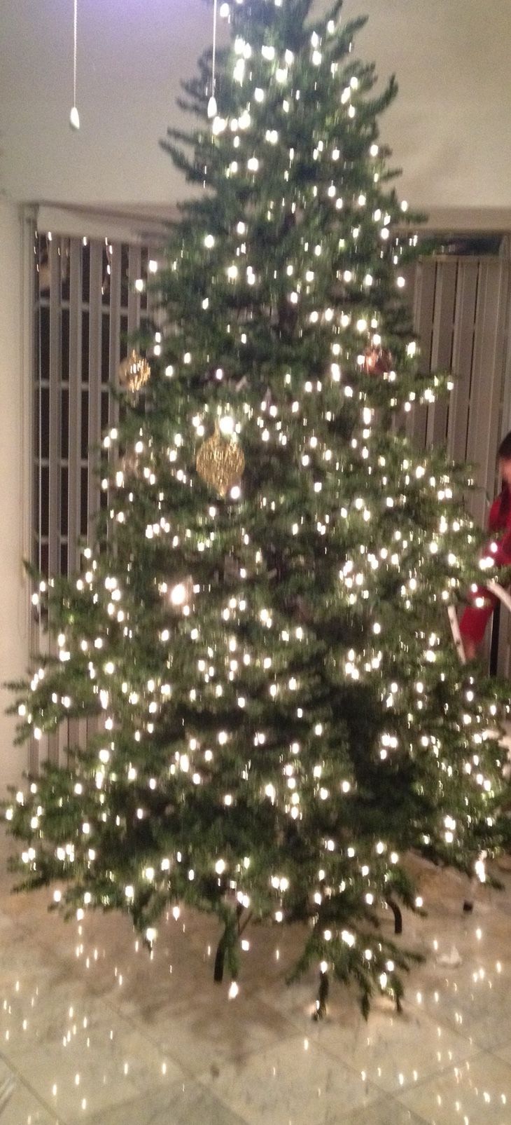 8’ Feet Christmas Three 