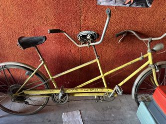 Schwinn Deluxe Twinn 1971