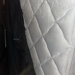 Queen Size Bed And Box Spring