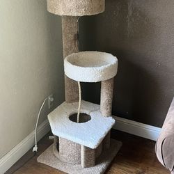 Cat Tree