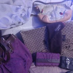 Coach Purses And Other Name Brand Authentic Purses 