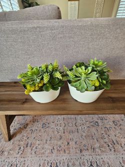 Faux Succulent Plants