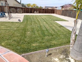 Garden 🏡 Clean Grass