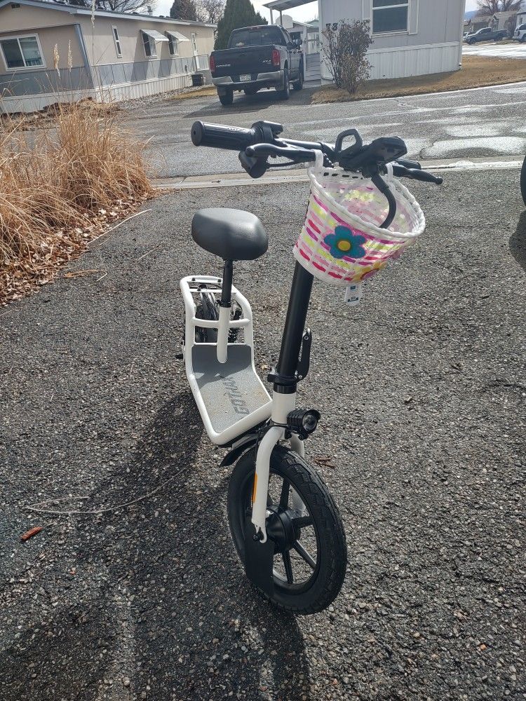 Electric Scooter