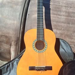 Carlo Robelli Guitar 