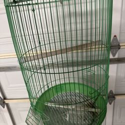 Bird Cage