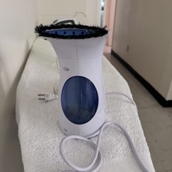 Steam Iron 