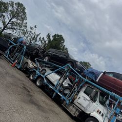 Car Carrier / CAT C12