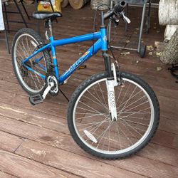 Blue Bike
