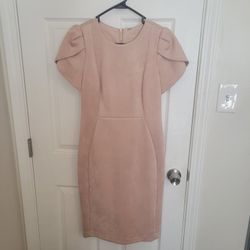 Blush Calvin Dress. Size 8