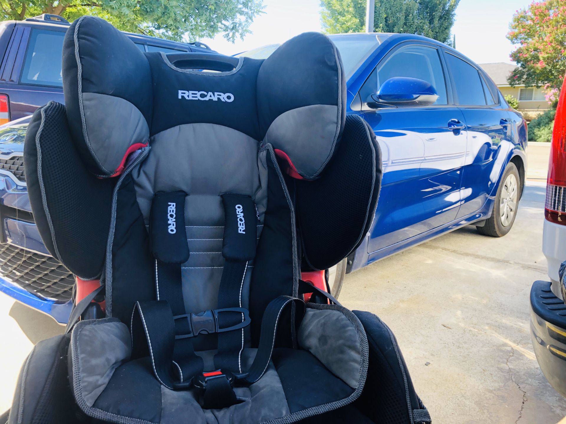 Recaro Booster Seat and Harness