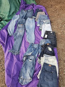 Shorts, jeans and capris. Size xl to 3x. Brand  new torrid with tags and Judy blue and more.