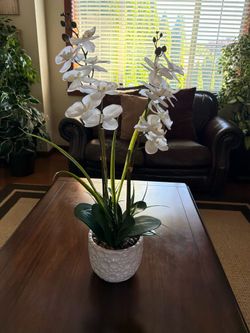Elegant Faux White Orchid Arrangement in Textured Ceramic Pot