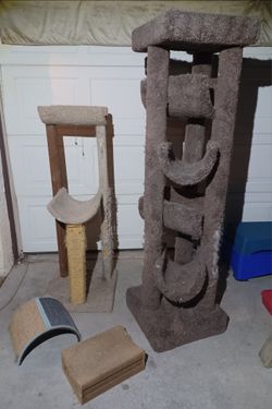 Cat items